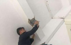 补办房产证中房屋安全检测鉴定起到什么作用