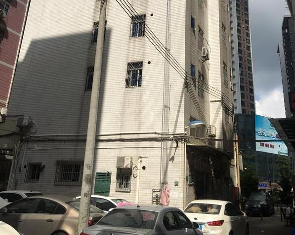 主体结构检测包括哪些?(图1) 主体结构检测